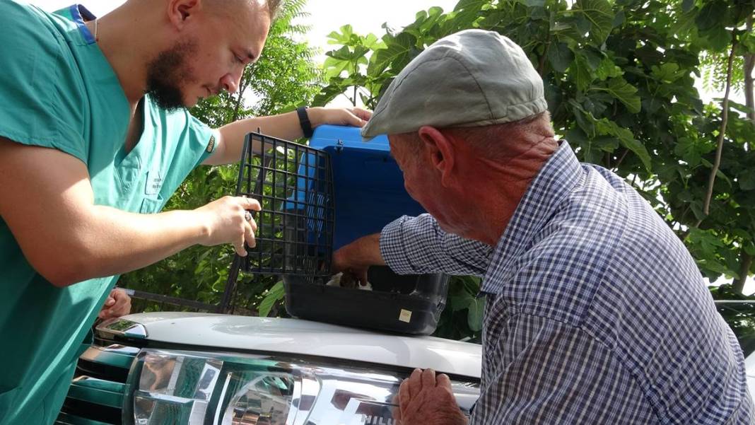 Yaren leylek ile eşi Nazlı'dan 10 gün sonra sevindiren haber! Su ve mineral kaybı ile enfeksiyon vardı 35